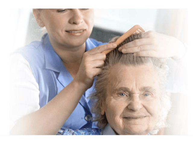 CAREGIVERS UNITED INC